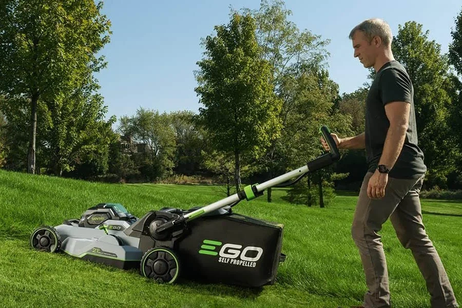 best budget mower
